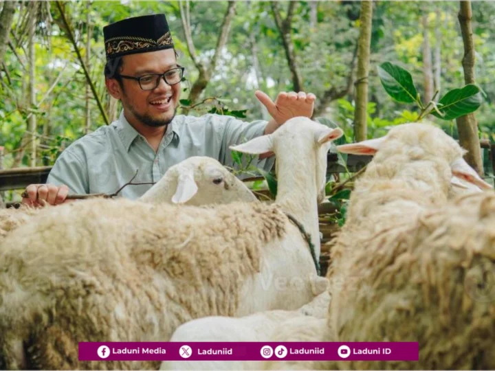Memperhatikan Kesejahteraan Hewan Qurban (Animal Welfare)