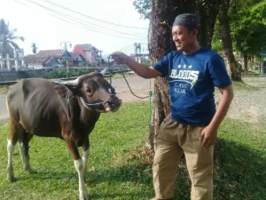 Memberi Lebih Kepada Panitia Kurban