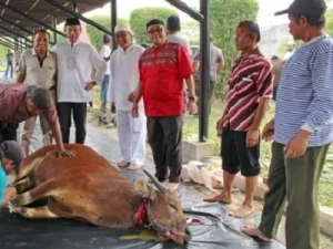 Fakta Unik Cara Sembelih Hewan Kurban, Bandingkan dengan Barat