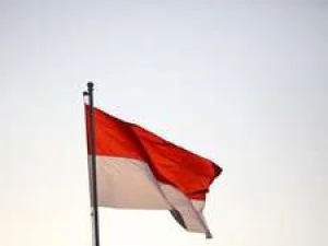 Refleksi Atas HUT RI Ke-74