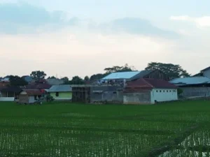 Pesantren Miftahul Huda Aljalal Kab. Subang