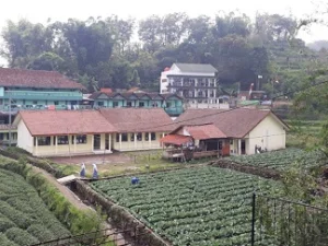 Pesantren Salafiyyah Fatchul Ulum Pacet