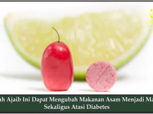 Buah Ajaib Ini Dapat Mengubah Makanan Asam Menjadi Manis Sekaligus Atasi Diabetes