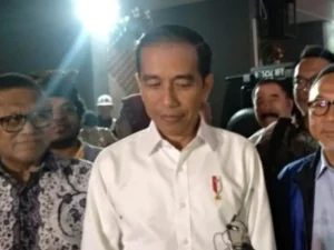 Soal Menteri, Jokowi Minta Tak Ada yang Ikut Campur