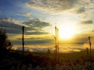 Ingin Liburan? Coba Kunjungi Dataran Tinggi Posong di Temanggung, Alamnya Wow...
