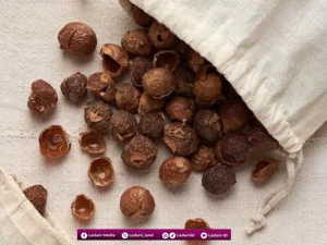 Sebelum Ada Deterjen, Masyarakat Indonesia Mencuci Menggunakan Buah Ini Loh!!