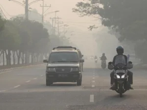 Prihatin Kabut Asap, MUI Kalbar Berencana Gelar Shalat Istisqa' Sabtu Mendatang