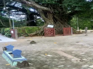 Wisata Religi dan Bertawassul di Makam Ki Ageng Panohan Rembang