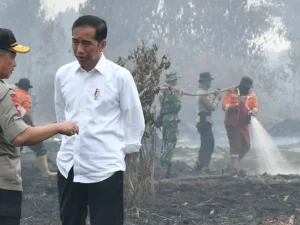 Proyek Membakar Hutan Demi Cuan, Pemerintah dan Rakyat Dirugikan