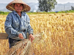 Menanti ‘Gebrakan’ Undang-Undang Sistem Budidaya Pertanian yang Baru