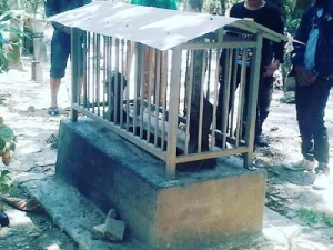 Kisah Mbah Gareng, Buyut Gus Dur yang Makamnya di Desa Ngroto