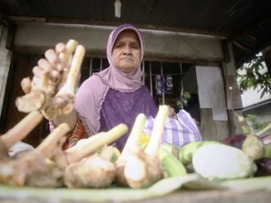 Kisah Mak Cut, Pedagang Sayur yang Mampu Kuliahkan Anaknya ke AS