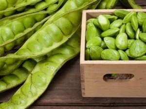Ketahuilah, Pete dan Air Rebusnya Ternyata Kaya Manfaat