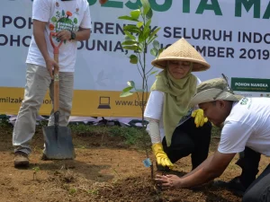 Peringati Hari Pohon Sedunia, BAZNAS Tanam Serentak di 15 Provinsi