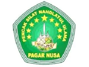 Raih Prestasi Nasional, Pesilat Pagar Nusa Jember Banggakan NU