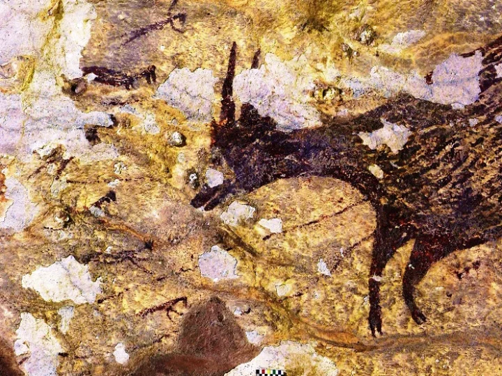 Lukisan Gua dari Sulawesi Terpilih Jadi Karya Figuratif Tertua di Dunia