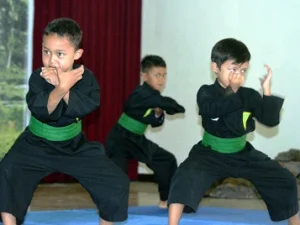 UNESCO Tetapkan Pancak Silat Sebagai Warisan Budaya Dunia