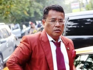 Hotman Paris Ajak LBH Layangkan Gugatan Terkait Banjir di Jakarta