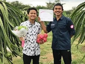 Petani Sukses Asal Cianjur Ini Bisa Raup Rp 500 Juta dan Jadi Duta Petani Milenial