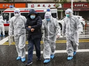WHO Sebut 80 Persen Pasien Virus Corona Bisa Sembuh