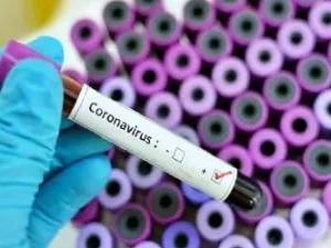 Jangan Khawatir, Virus Corona Bukan Virus Dengue