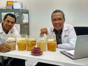 Tangkal Virus Corona dengan Jahe, Kunyit dan Temulawak