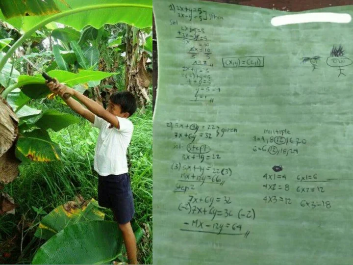 Kisah Sedih Erlande Menulis di Daun Pisang karena Tak Mampu Beli Buku