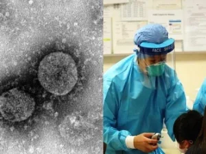Tentang Perjalanan Virus di Tubuh Manusia