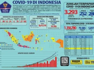 Kenapa dulu Dirahasiakan, dan Kenapa dulu Lockdown Jakarta Ditolak?
