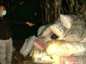 35 Tahun ada Perdagangan Limbah Medis di Purbalingga