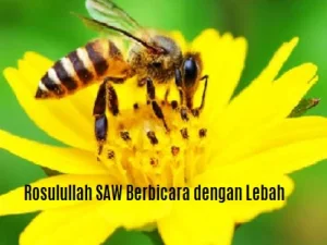 Rasulullah SAW Berbicara dengan Seekor Lebah