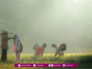 Membagi Porsi Ikhtiar dan Doa
