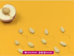 Perbedaan Air Mani, Madzi, dan Wadi