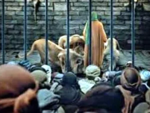 Kisah Hewan Buas Tak Mau Memakan Daging Keturunan Rasulullah SAW
