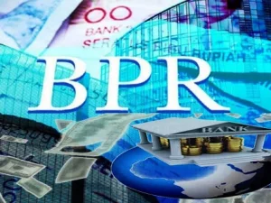 Memahami Perjanjian Kredit pada Bank Pengkreditan Rakyat