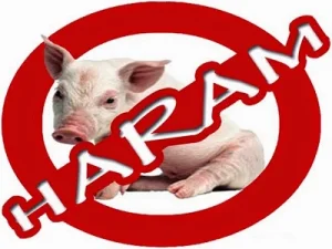 Kenapa Daging Babi Diharamkan Dalam Islam ?