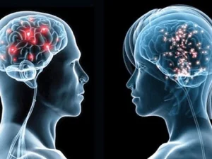 Benarkah Perempuan Kurang dalam Akalnya? Ini Faktanya