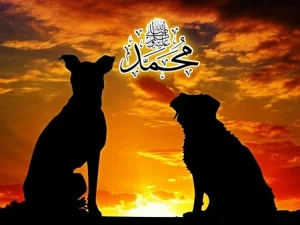 Nabi Tidak Menyakiti Anjing