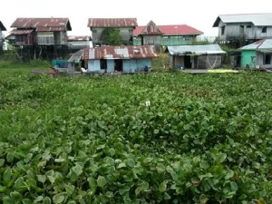 Menguruk Sungai Jadi Daratan, Bagaimana Pandangan Islam?