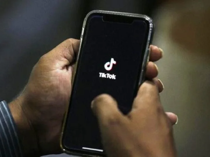 10 Dosa yang Harus Diingat oleh Penggemar Tiktok