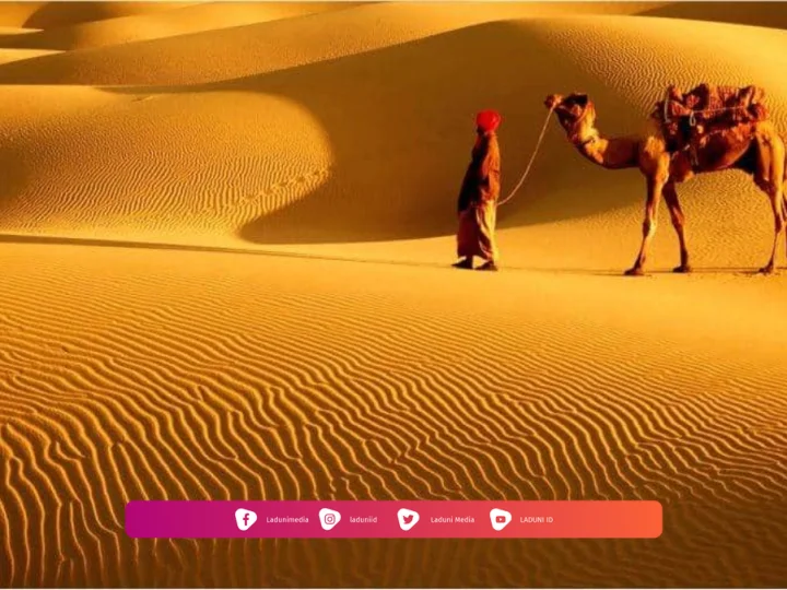 Biografi Hammad bin Abi Sulaiman