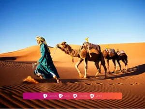 Biografi Harmalah bin Yahya bin Abdullah At Tujibi
