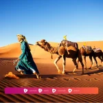 Biografi Harmalah bin Yahya bin Abdullah At Tujibi