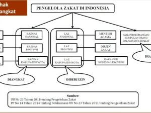 Perbedaan Status Hukum Antara Amil Zakat dan Panitia Zakat di Masjid atau Mushola