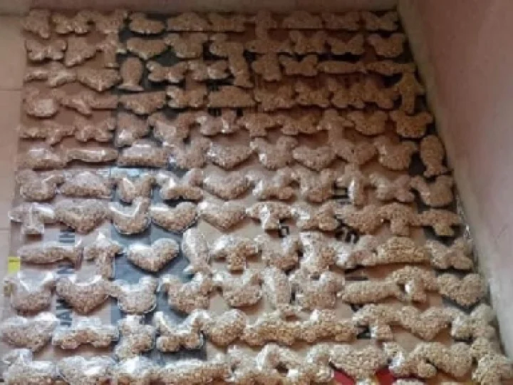 Tempe Karakter, Lupakan Nugget dan Sosis, Saatnya Tempe Naik Kelas