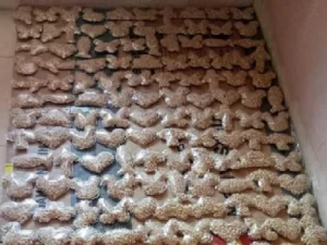 Tempe Karakter,  Lupakan Nugget dan Sosis,  Saatnya Tempe Naik Kelas