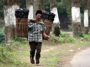 Kisah Tragis Santri Yang Jadi Penjual Arang