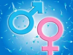 Seputar Ciuman dan Oral Sex Menurut Sebagian Pakar Fiqih
