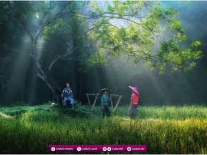Kepekaan Belajar di Sekolah Kehidupan