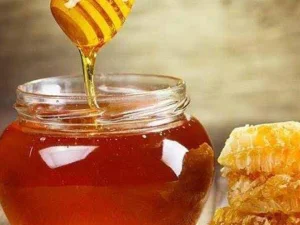Mengapa Madu Rasanya Manis?